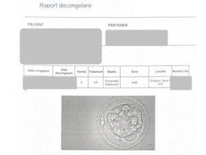 embriotransfer după sarcină oprită în evoluție