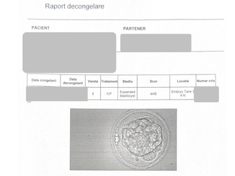 embriotransfer după sarcină oprită în evoluție